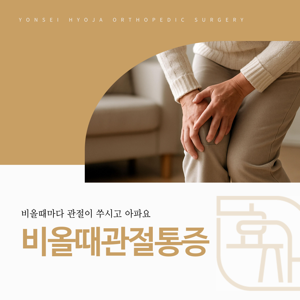 까치산역 정형외과 비 오는 날 관절 통증 쑤심 해부학적 모형과 진료 안내