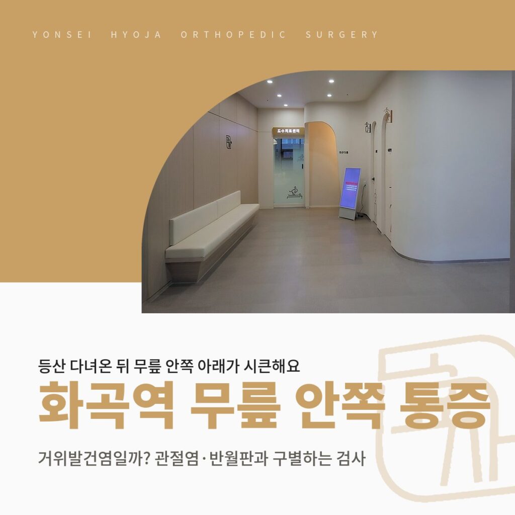 연세효자정형외과의원 로고와 원내 복도와 대기 의자 사진을 넣은 골드 배경 위에 화곡역 무릎 안쪽 통증·거위발건염일까? 관절염·반월판과 구별하는 검사 제목을 넣은 대표이미지