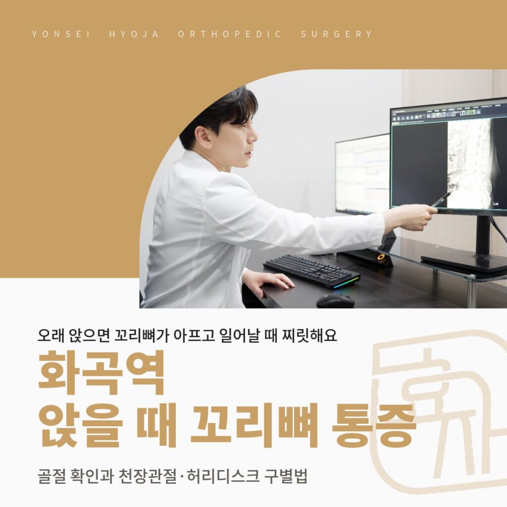 연세효자정형외과의원 로고와 X-ray 영상을 설명하는 진료실 사진을 넣은 골드 배경 위에 화곡역 앉을 때 꼬리뼈 통증·골절 확인과 천장관절·허리디스크 구별법 제목을 넣은 대표이미지